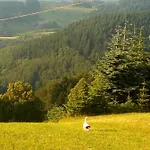 Haus Wander-lust * Lauterbach (Baden-Wurttemberg)