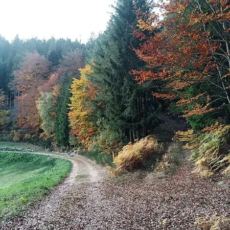 Haus Wander-lust * Lauterbach (Baden-Wurttemberg)