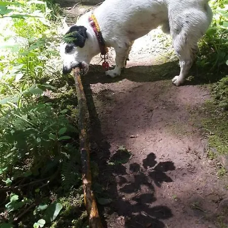 Haus Wander-lust Apartment Lauterbach (Baden-Wurttemberg)