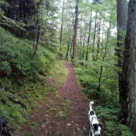 Haus Wander-lust Apartment Lauterbach (Baden-Wurttemberg)