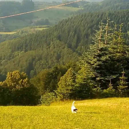 Haus Wander-lust * Lauterbach (Baden-Wurttemberg)
