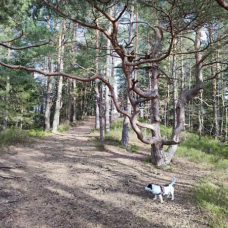 Apartment Haus Wander-lust Lauterbach (Baden-Wurttemberg)